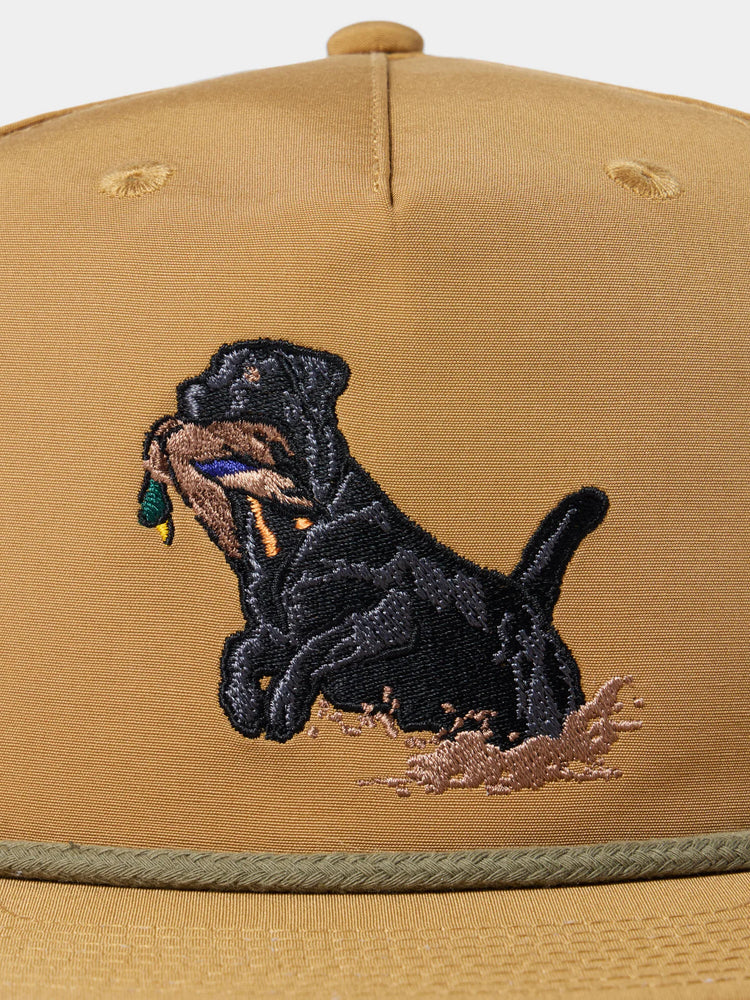 Black Lab Hat