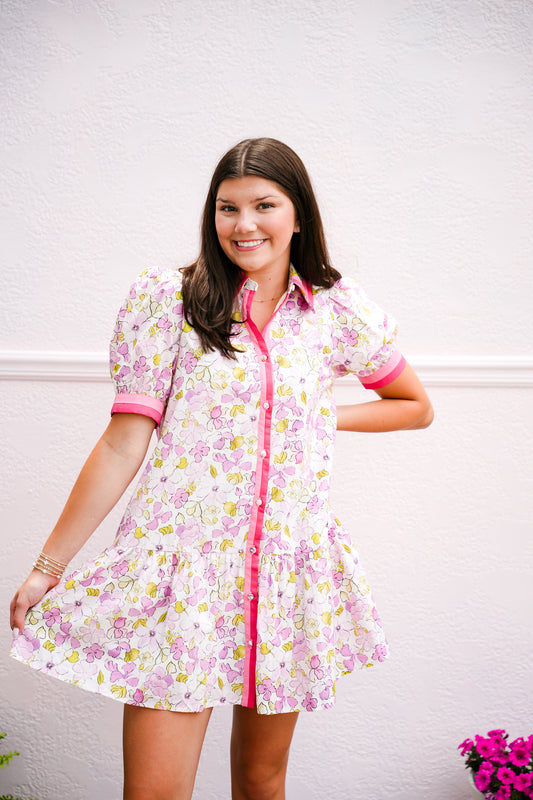 Pink & Lavender Dress