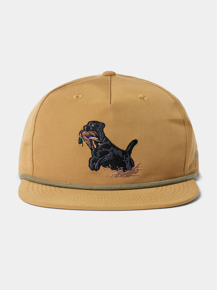 Black Lab Hat