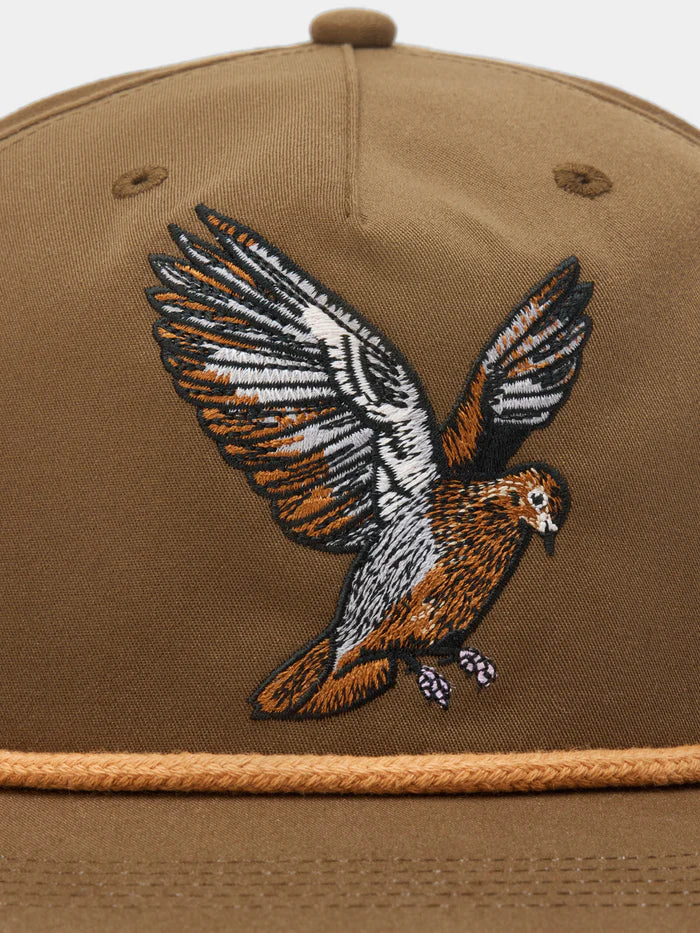 Dove Hat - Pin Oak - Southern Belle Boutique