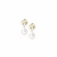 Horizon Pearl Stud Earrings in Pearl