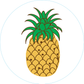 Pineapple Bogg Bit - Southern Belle Boutique