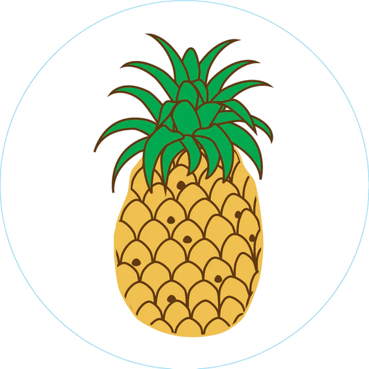 Pineapple Bogg Bit - Southern Belle Boutique