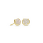 Nola Stud Earrings - Gold Iridscent Drusy