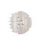 Sand Dollar Flat Hair Clip - - Southern Belle Boutique