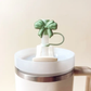 Straw Topper Set-Cool Mint - Southern Belle Boutique