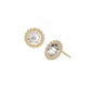 Allure Stud Earrings - Gold CZ