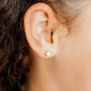 Screwback Stud Earrings - Addison - Clear - Southern Belle Boutique