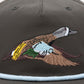 Blue Wing Teal Hat - Raven - Southern Belle Boutique